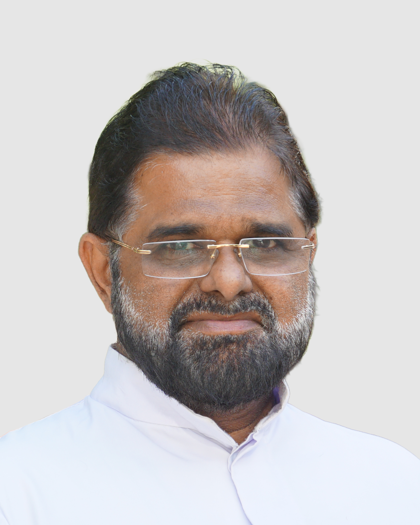 Fr. Ayyamkolil Mathew CMI